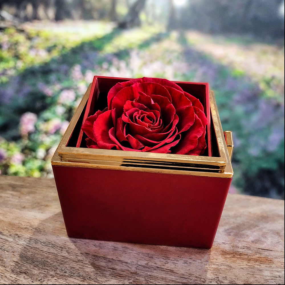 Love Knot Necklace (Happy Mother's Day) Floral Blk Bkg - White Gold Finish with Rotating Rose Gift Box