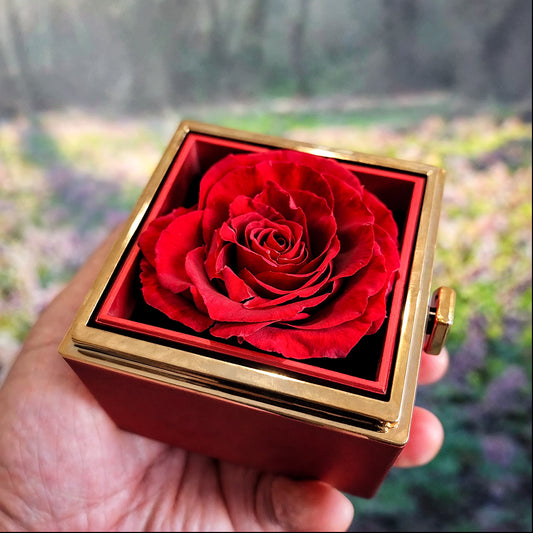 Love Knot Necklace (Happy Mother's Day): Giving Us The World - Pink Blue Gradient - White Gold Finish with Rotating Rose Gift Box